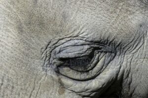 トリアレーザーは毛穴にどのような効果があるのか？