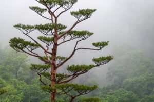 二重あご解消に最適な家庭用美顔器はどれ？